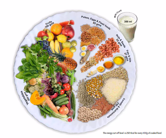 Customised Diet Plan